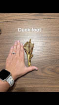 Duck feet