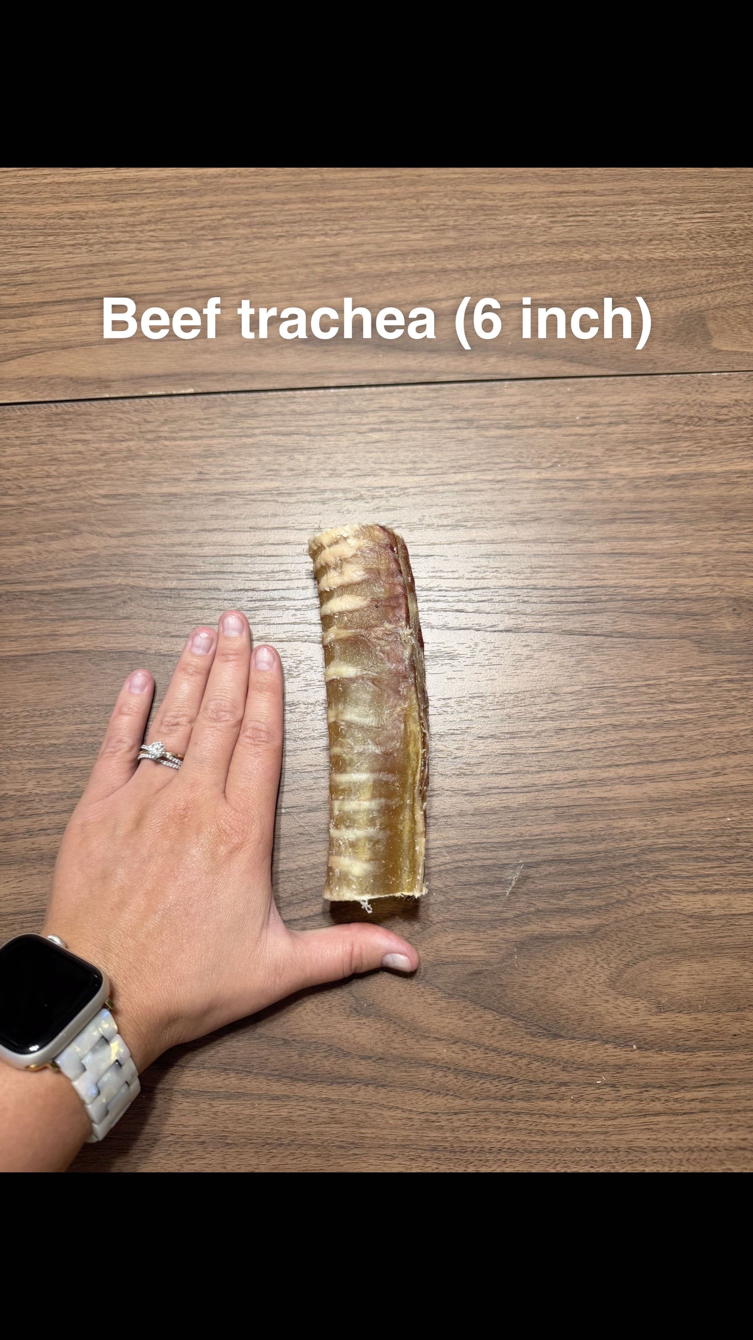 Beef trachea (6 inch)