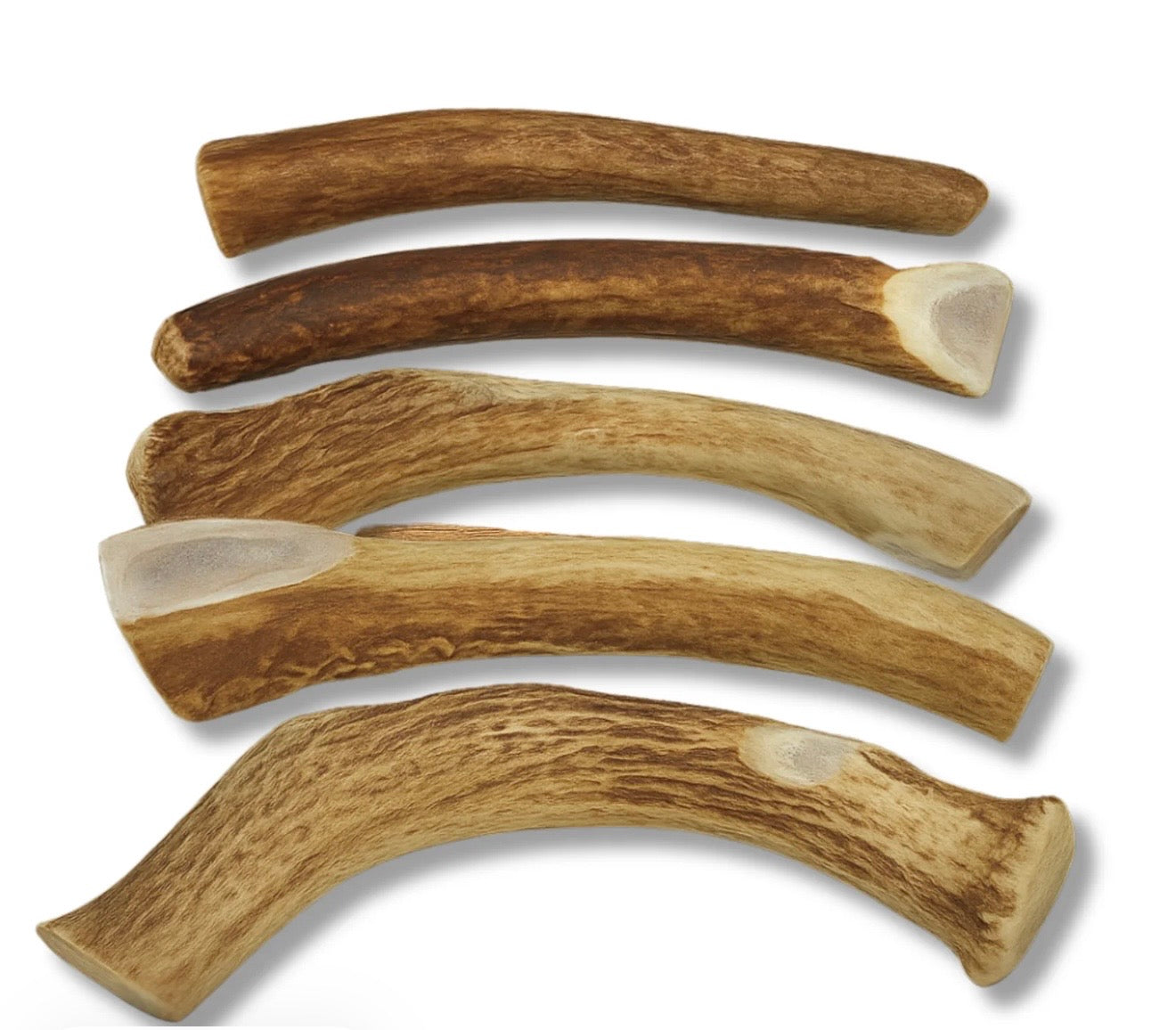 Deer antler