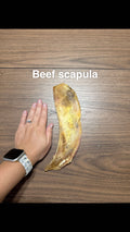 Beef scapula