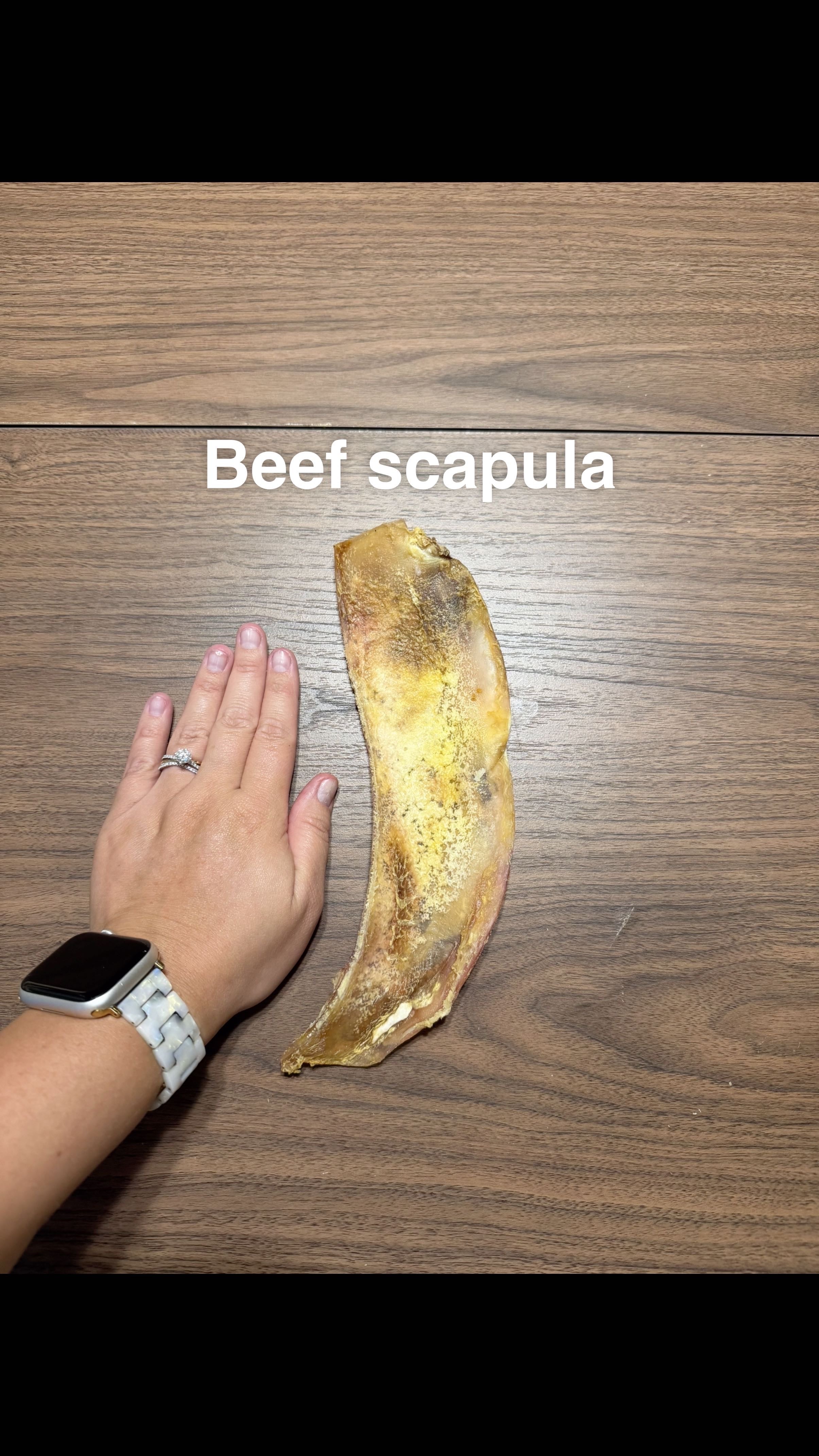 Beef scapula