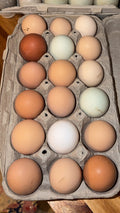 Chicken eggs